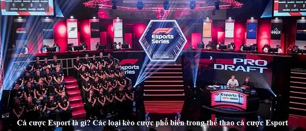 Các loại tỷ lệ cược Esports phổ biến nhất tại nhà cái uy tín