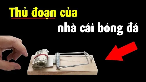 10 bí mật nhà cái cá cược không muốn bạn biết (Phần 1)