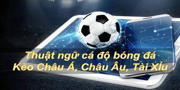 Những thuật ngữ cá độ bóng đá cộng đồng nhà cái bóng đá thường dùng